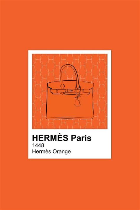 pantone 1448 hermes orange|hermes orange fashion house.